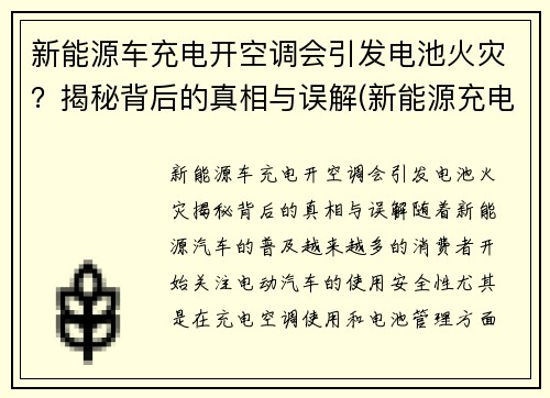 新能源车充电开空调会引发电池火灾？揭秘背后的真相与误解(新能源充电中可以开空调吗)