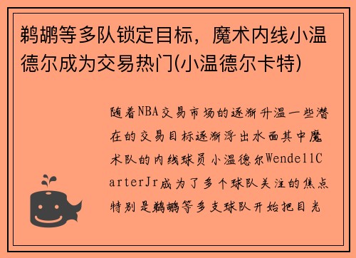 鹈鹕等多队锁定目标，魔术内线小温德尔成为交易热门(小温德尔卡特)