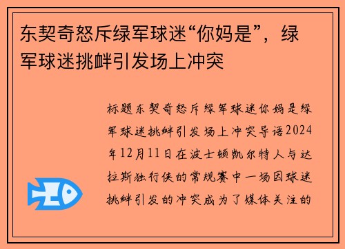 东契奇怒斥绿军球迷“你妈是”，绿军球迷挑衅引发场上冲突
