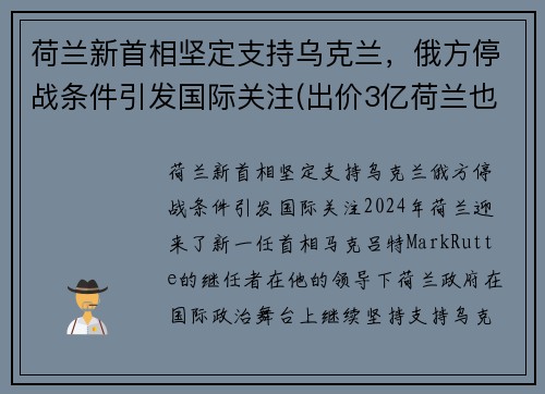 荷兰新首相坚定支持乌克兰，俄方停战条件引发国际关注(出价3亿荷兰也拒绝援助)